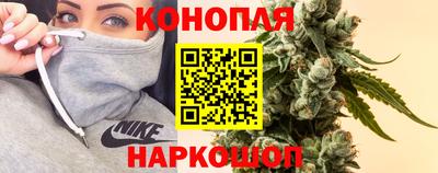 PSILOCYBIN Дубна